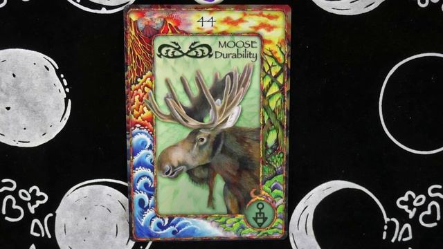 Pick a Card, Message From Your Animal Spirit Guide ( World Animal Dreaming Oracle ) смотреть онлайн