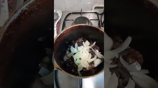 грибы съедобные или нет. Как определить съедобные грибы или нет. секрет. смотреть онлайн