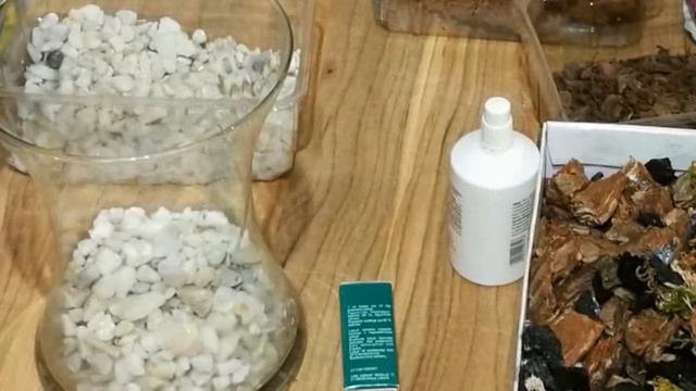 Пересаживаю 2 орхидеи моей приятельницы в закрытую систему. смотреть онлайн