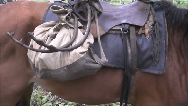 Сбор чаги. Гриб от всех болезней. Magic mushroom. смотреть онлайн