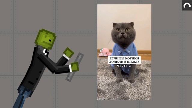 Смотрю тикток смотреть онлайн