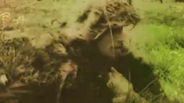 Blitzkrieg Deutscher Einführungsvideo