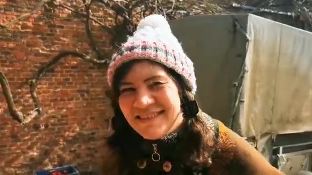 Как выглядят бельгийские хрюшки смотреть онлайн