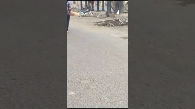 cricket | match | win | live #cricket #win смотреть онлайн