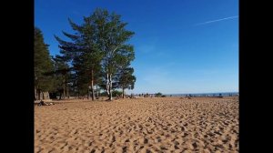 Интересные места в Сестрорецке Ленинградская область