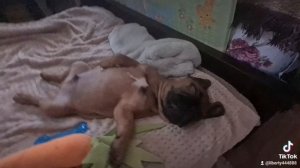 Какой маленький, какой хорошенький