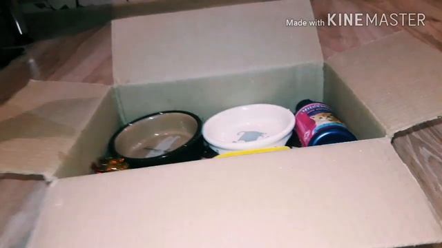 ?День рождение [кота]?Чейзу 3 месяца DIY Кет-бокс (много подарков) смотреть онлайн