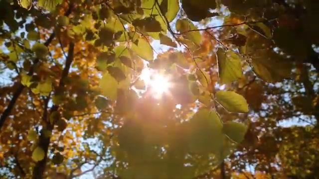 1 Лучшее Сборник КРАСИВОЙ музыки для души Сергей Чекалин! смотреть онлайн