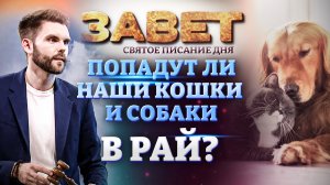 ПОПАДУТ ЛИ НАШИ КОШКИ И СОБАКИ В РАЙ? ЗАВЕТ