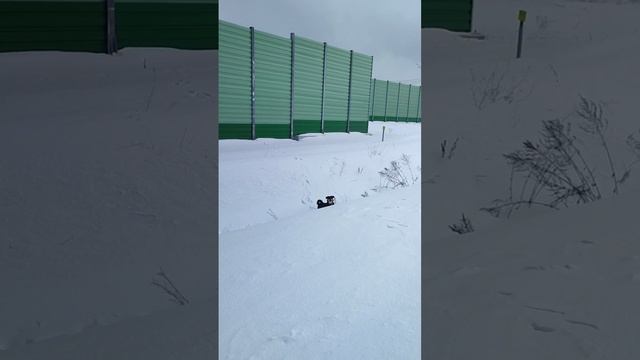 Вездеход Ладуся