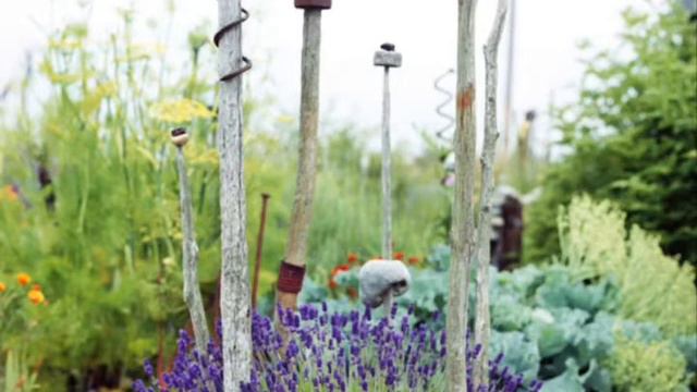 Derek Jarmans Garden