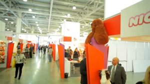 Выставка Детство/Toys & Kids Russia 2012