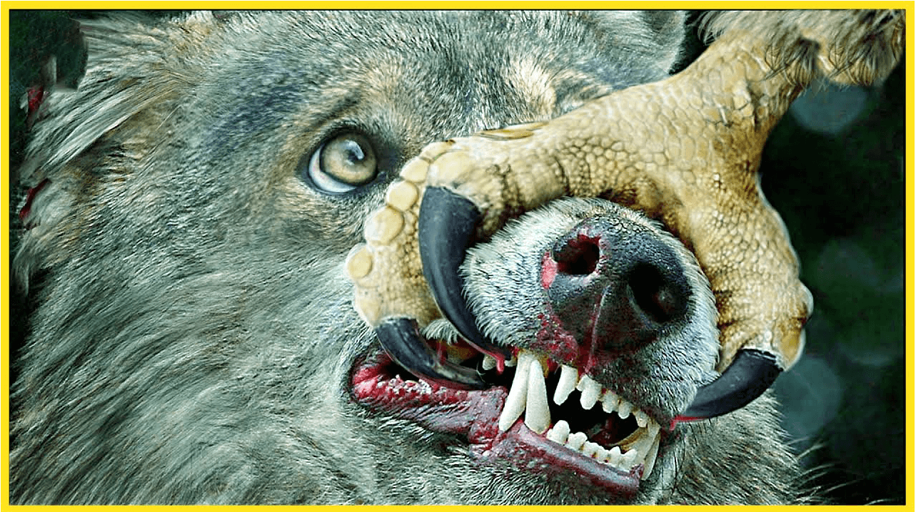 Беркут в деле . Он способен разрывать смотреть онлайн