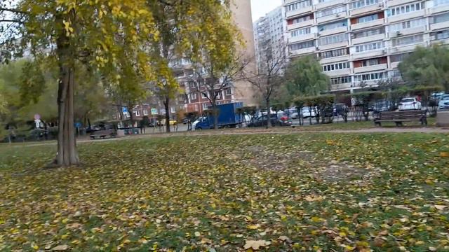 Волжский бульвар. Памятник Шолохову М. А. смотреть онлайн