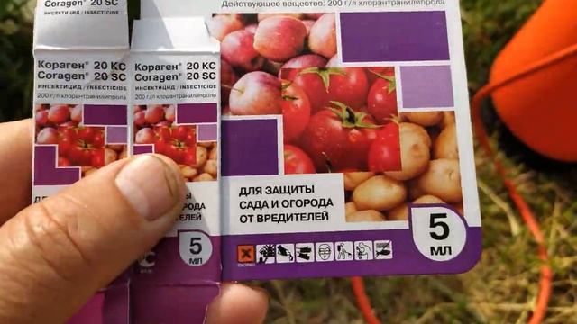 ТРАВИМ ГАДА КОЛОРАДСКОГО жука, а он не дохнет. Чем травили и что делать? смотреть онлайн