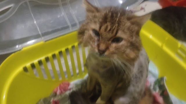 нужна ваша помощь с названием. как назвать видео? смотреть онлайн
