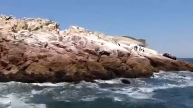 Балестас смотреть онлайн