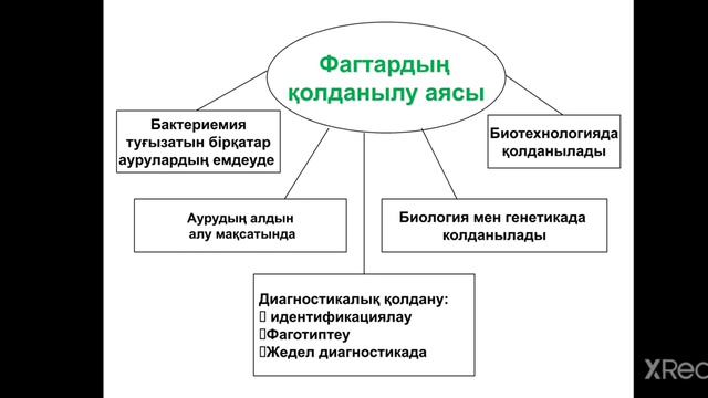 Жалпы вирусология. Вирустар жүйеленуінің негіздері. Антибиотиктер. смотреть онлайн