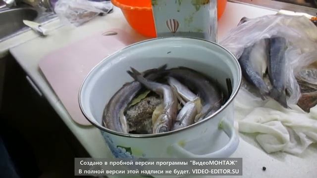 вялим морскую рыбу камбалу путасу селедку мойву смотреть онлайн