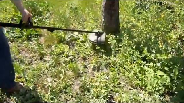 Газонный электрический триммер Defort