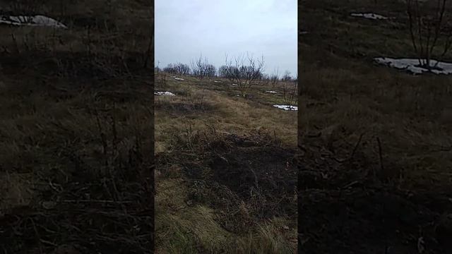 уход за ореховым садом зимой смотреть онлайн