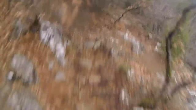 Ялта. Грушевая поляна - Массандровский парк 19.03. смотреть онлайн