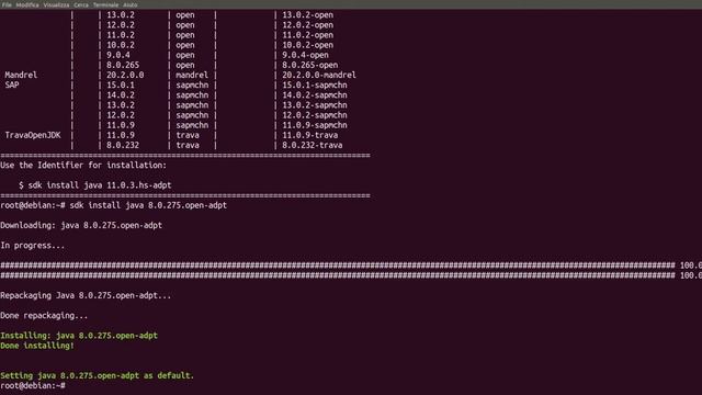 SDKMan: come gestire più versioni di Java su un PC смотреть онлайн