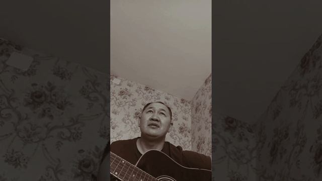 Михай Волонтир (Будулай) нас не нужно жалеть... смотреть онлайн