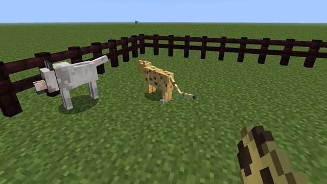 КАК ПРИЮТИТЬ ДОМАШНИХ ЖИВОТНЫХ \ MINECRAFT смотреть онлайн