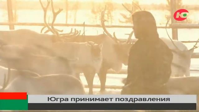 «За каждым достижением Югры стоит труд...» - округ получает в свой адрес телеграммы с поздравлениям смотреть онлайн