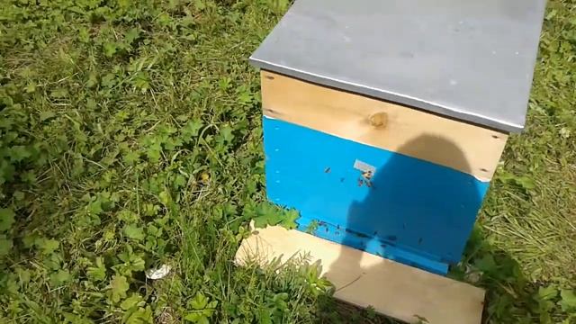 Красноусольск 2017. Пасека смотреть онлайн