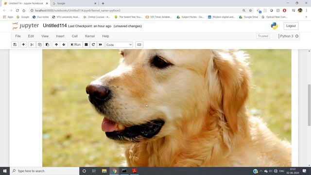 Fundamentals of Computer Vision | Python | Castor Classes смотреть онлайн