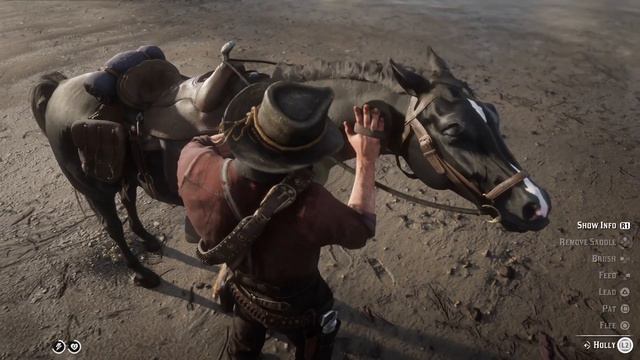COMP | Compilation of Arthur's dialogue to his mare/female horse | RDR2 смотреть онлайн