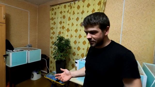 Породной птице - БЫТЬ!!! Жизнь в деревне! смотреть онлайн