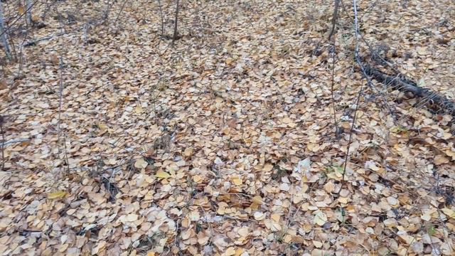 Теплый Октябрь 2020 смотреть онлайн