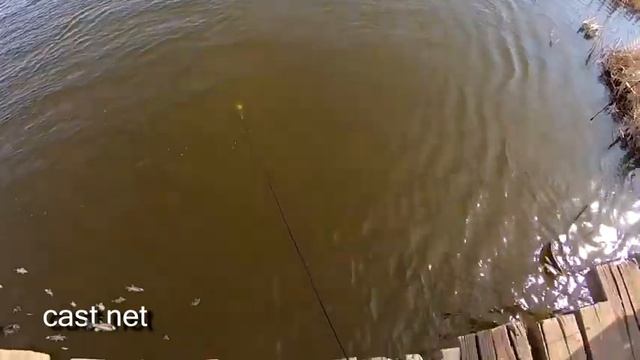 Рыбалка Кастинговой Сетью! Как забросить кастинговую сеть на стаю рыбы! Лучшие забросы! CAST NET TO смотреть онлайн