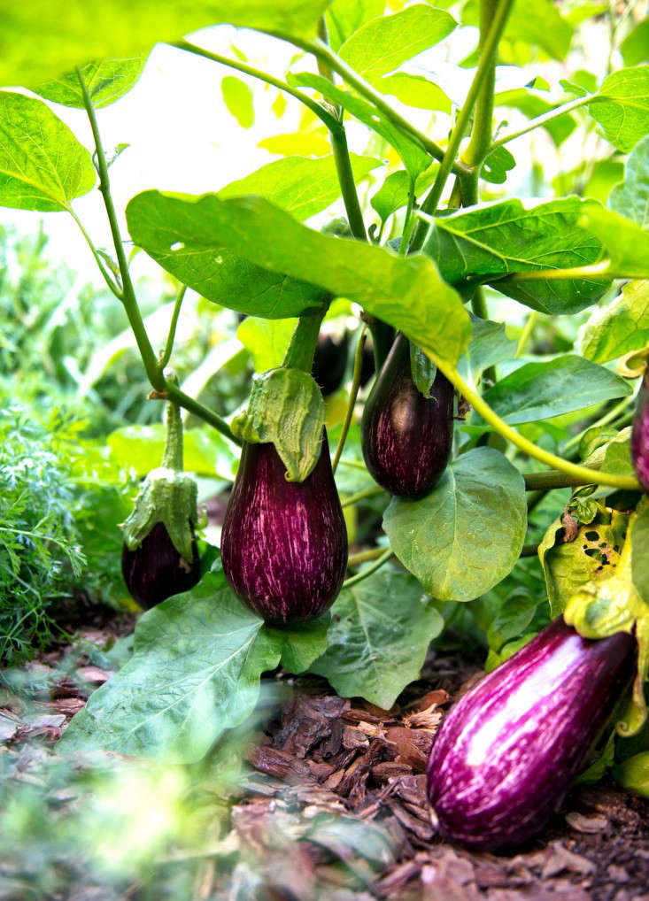 БЛИЖЕ к ПРИРОДЕ