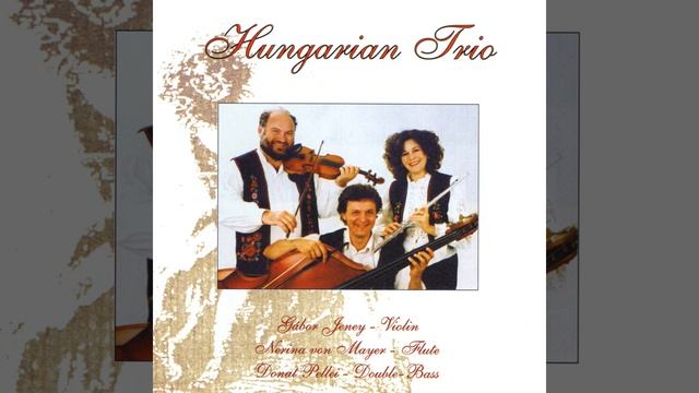 Hungarian Dance No. 5 смотреть онлайн