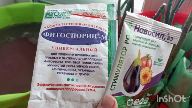 Розы из Светофора.🌹🌹🌹🥰Купила и посадила в коробки 14 шт.26.02.2024. смотреть онлайн