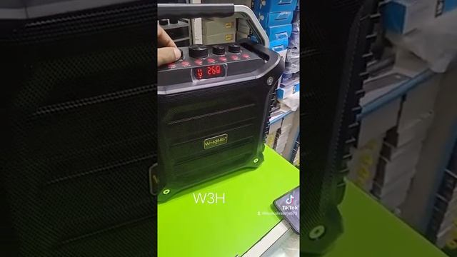 W3H wking karoke bluetooth speaker смотреть онлайн