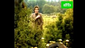 Яак Йоала - Как свадебные кони