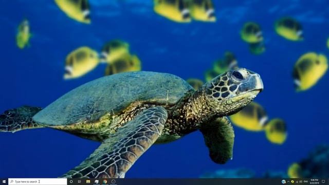 How to revoke SSL certificate in windows смотреть онлайн