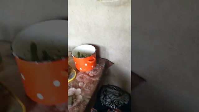 Вот в каких условиях живут люди смотреть онлайн