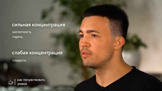 Вкус умами в кофе смотреть онлайн