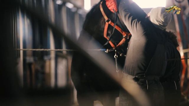 PRO_Конников. Мастер-наездник Владимир Греханов. 26 февраля 2023 года. 13:00 смотреть онлайн