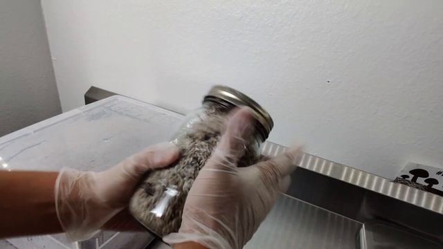 How to Grow Mushrooms in a Monotub смотреть онлайн
