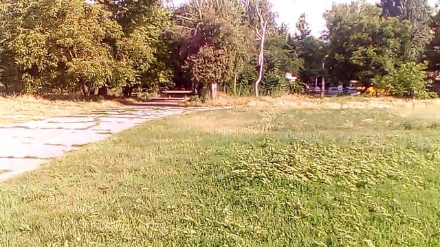 Выкормленный стриж улетает во взрослую жизнь смотреть онлайн