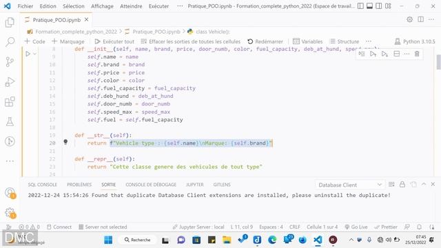 La methode spéciale repr - Apprendre Python de A à Z смотреть онлайн