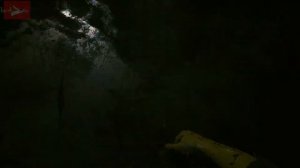 ГДЕ ДОСТАТЬ РУКУ СИЛЬВЕРХЕНДА???!!!  ▷ Cyberpunk 2077