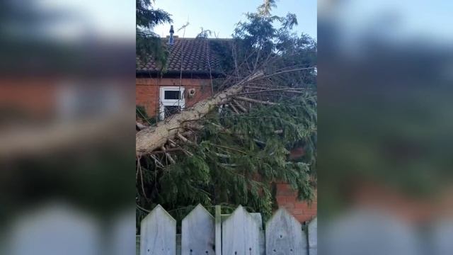 The UK is in danger! The terrible storm Dudley hit England and Scotland! Storm Eunice is coming! смотреть онлайн